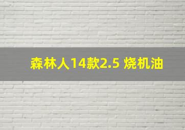 森林人14款2.5 烧机油